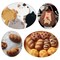 Wool Roving Bulk - 8.82oz Super Wool Chunky Yarn, Wool Roving Top for Needle Felting, Soft Felting Wool Supplies for Hand Spinning, Felting, Blending, Weaving and DIY Craft (Coffee Brown)